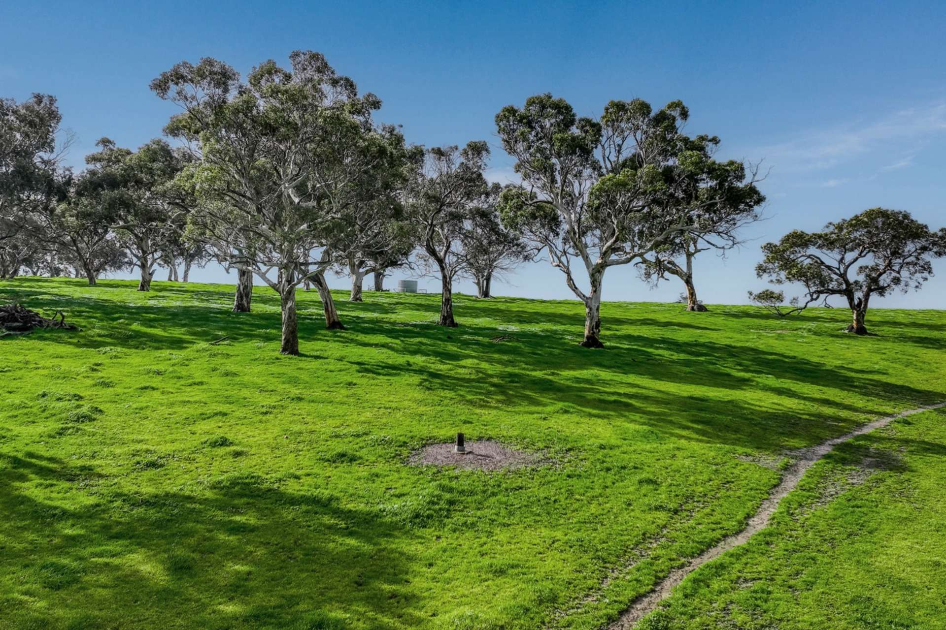 A21 Sunnydale Road, Strathalbyn For Sale by Farmbuy.com - image 14