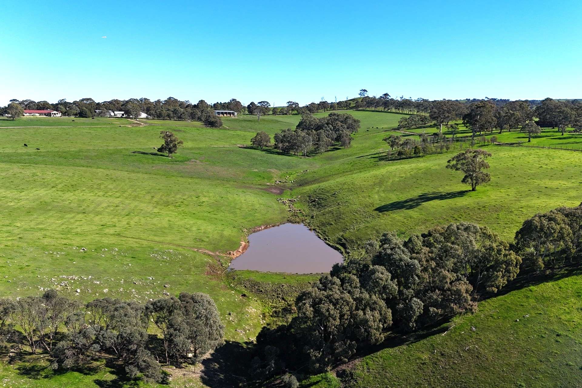 A21 Sunnydale Road, Strathalbyn For Sale by Farmbuy.com - image 21