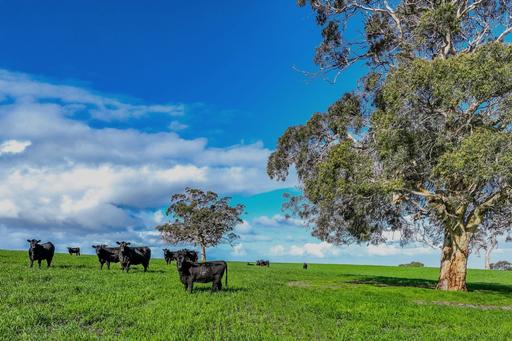 A21 Sunnydale Road, Strathalbyn SA 5255
