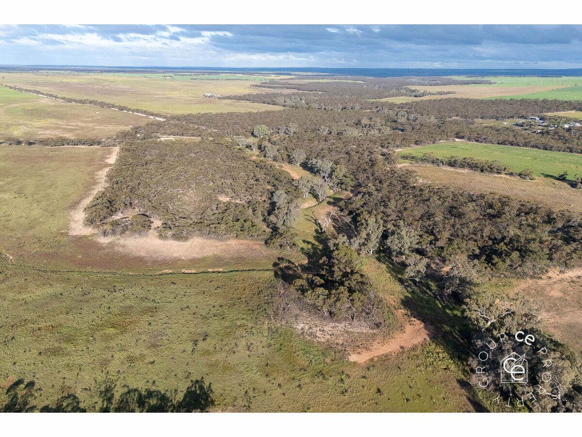 Lot 215 Schmaals Road, Angas Valley For Sale by Farmbuy.com - image 15