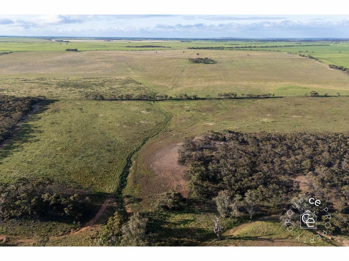 Lot 215 Schmaals Road, Angas Valley For Sale by Farmbuy.com - image 14