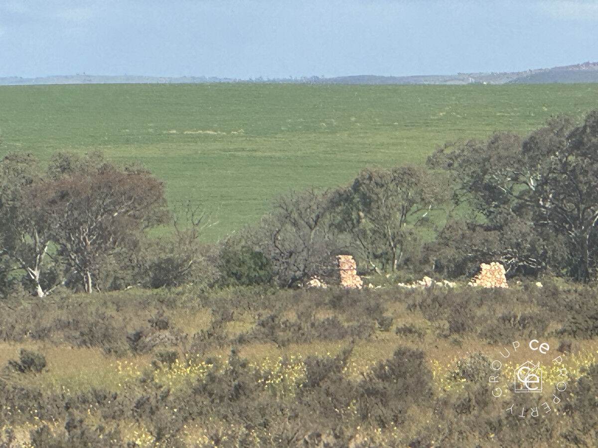 Lot 215 Schmaals Road, Angas Valley For Sale by Farmbuy.com - image 11