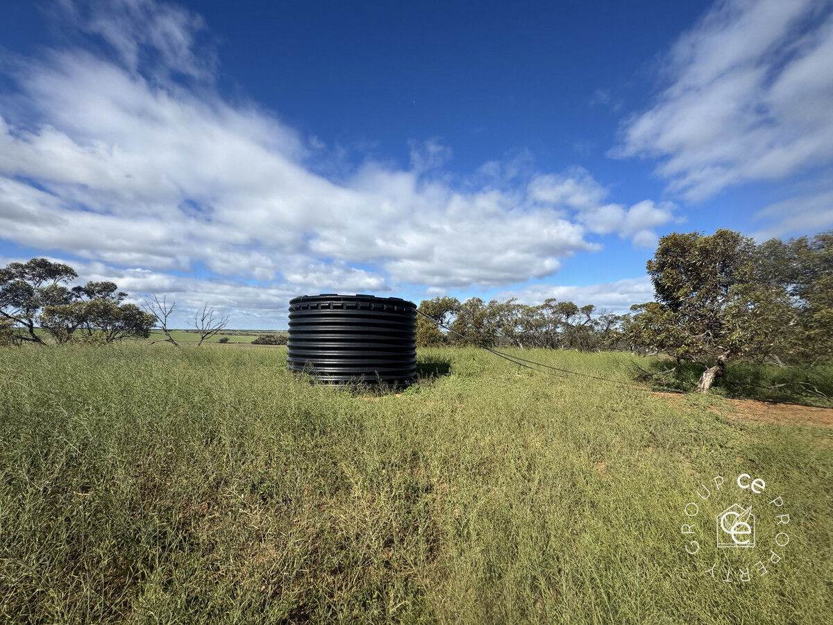 Lot 215 Schmaals Road, Angas Valley For Sale by Farmbuy.com - image 9