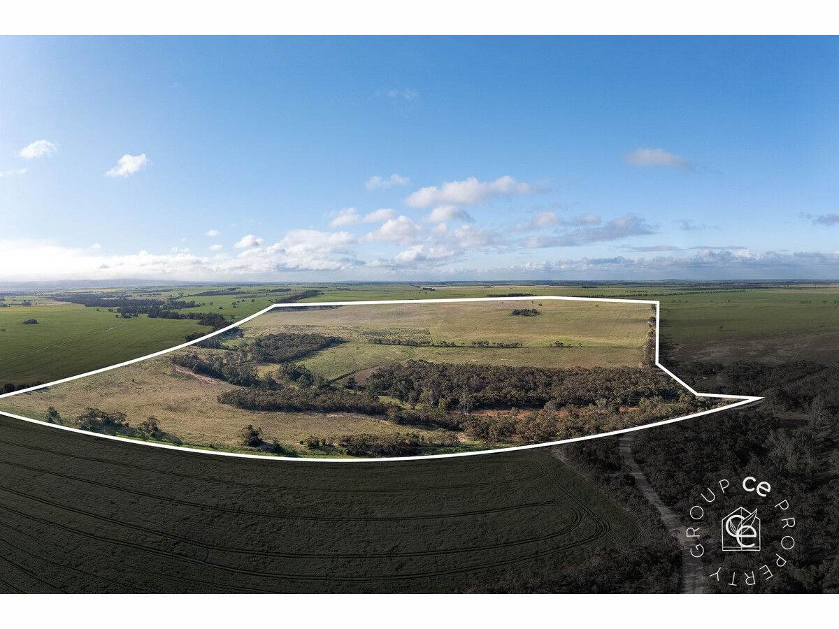 Lot 215 Schmaals Road, Angas Valley For Sale by Farmbuy.com - image 1