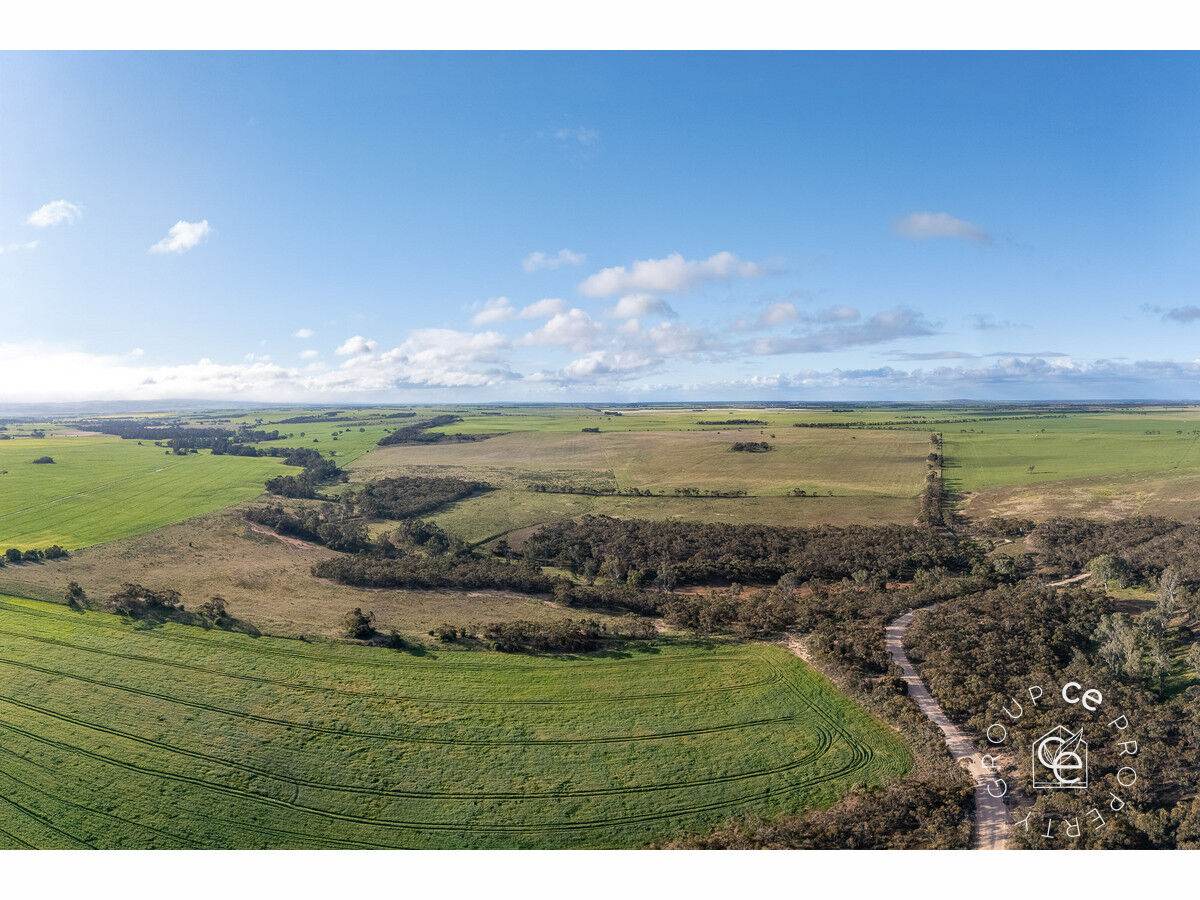 Lot 215 Schmaals Road, Angas Valley For Sale by Farmbuy.com - image 17