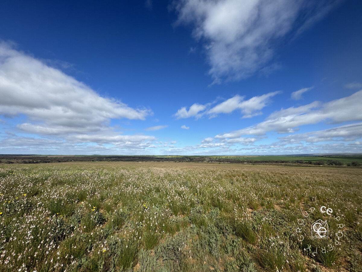 Lot 215 Schmaals Road, Angas Valley For Sale by Farmbuy.com - image 6