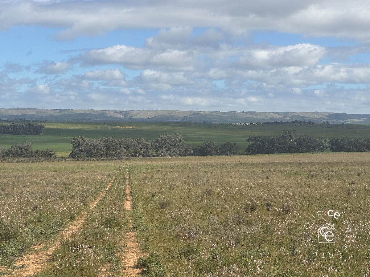 Lot 215 Schmaals Road, Angas Valley For Sale by Farmbuy.com - image 8