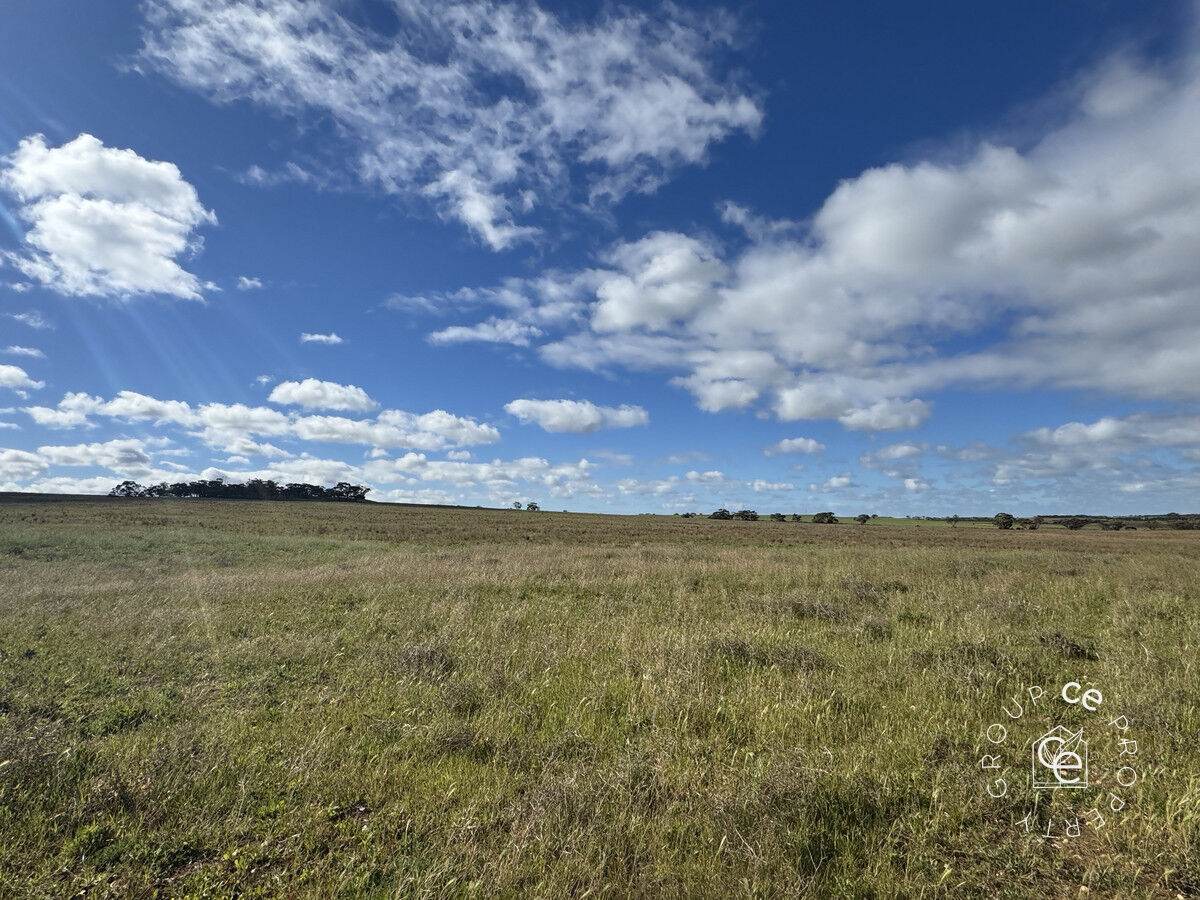 Lot 215 Schmaals Road, Angas Valley For Sale by Farmbuy.com - image 10