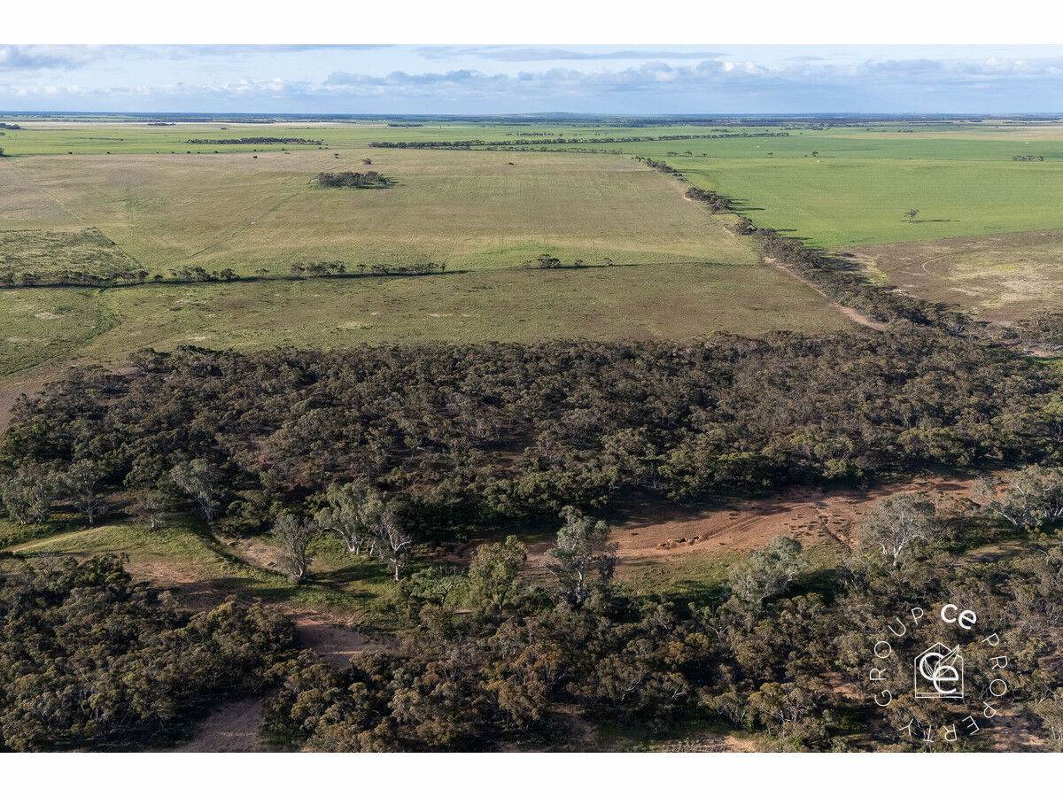 Lot 215 Schmaals Road, Angas Valley For Sale by Farmbuy.com - image 12