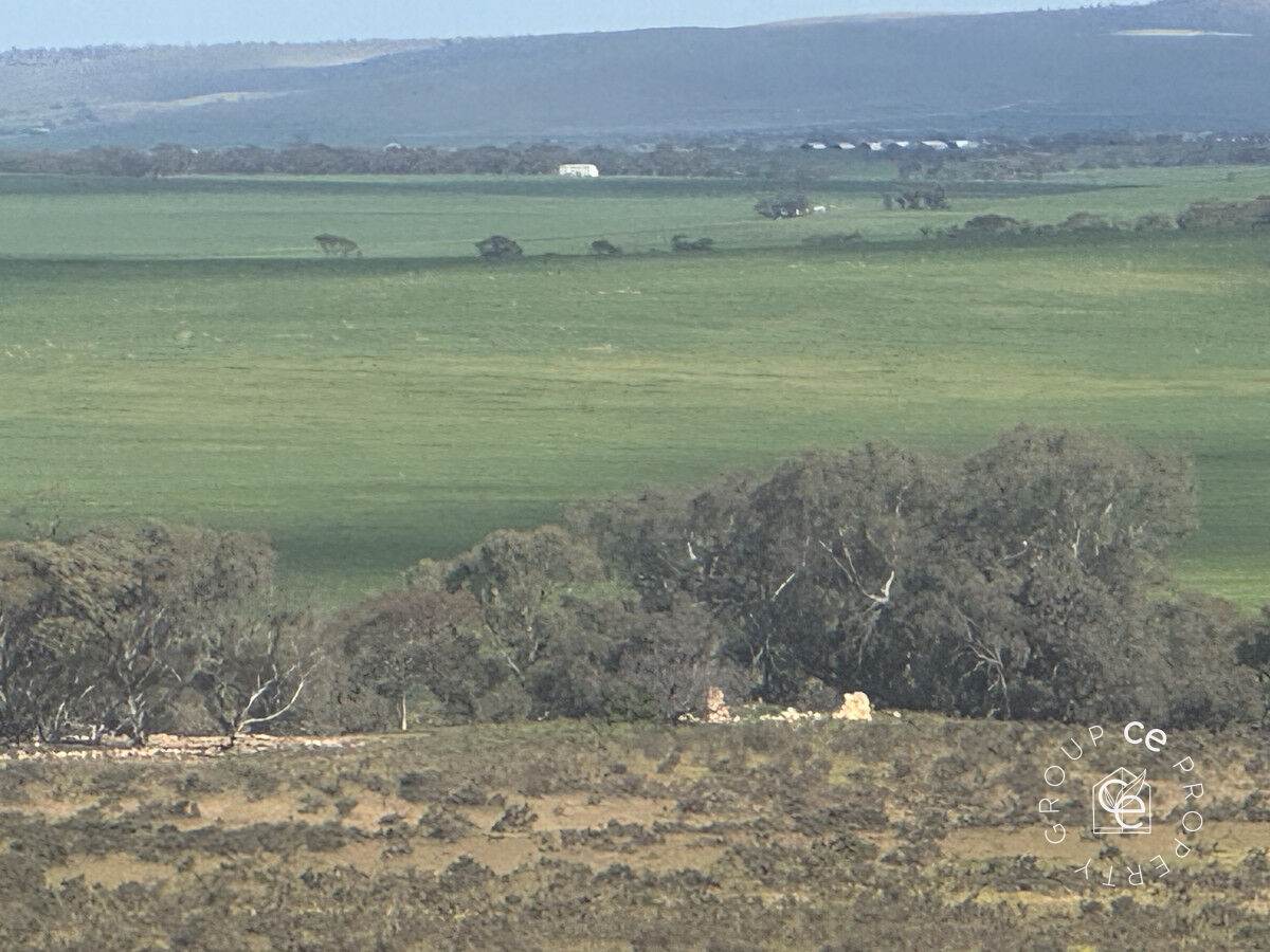 Lot 215 Schmaals Road, Angas Valley For Sale by Farmbuy.com - image 7
