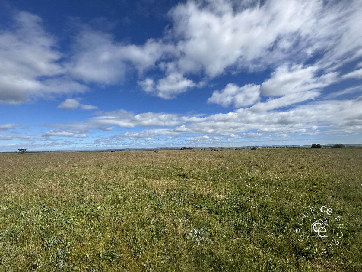 Lot 215 Schmaals Road, Angas Valley For Sale by Farmbuy.com - image 3