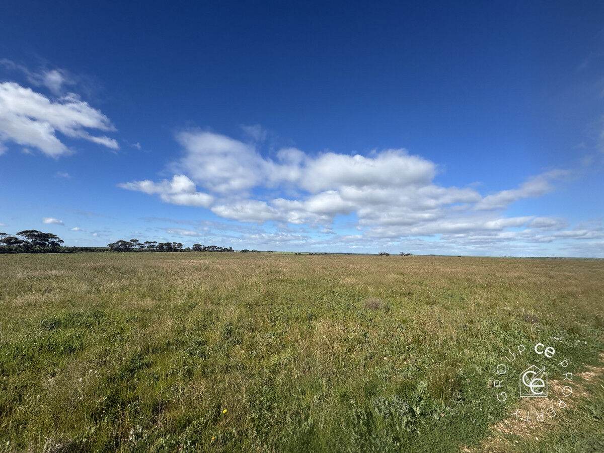 Lot 215 Schmaals Road, Angas Valley For Sale by Farmbuy.com - image 4