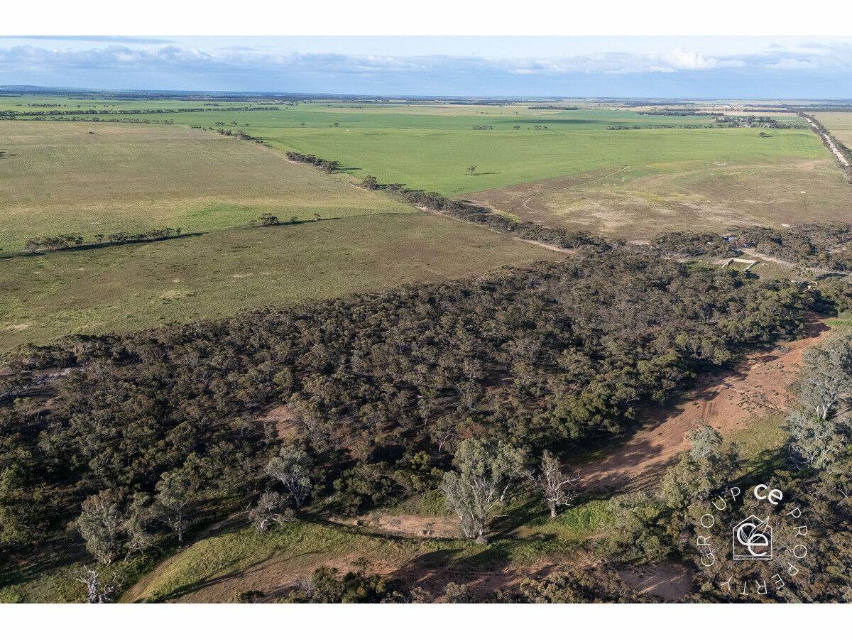 Lot 215 Schmaals Road, Angas Valley For Sale by Farmbuy.com - image 13