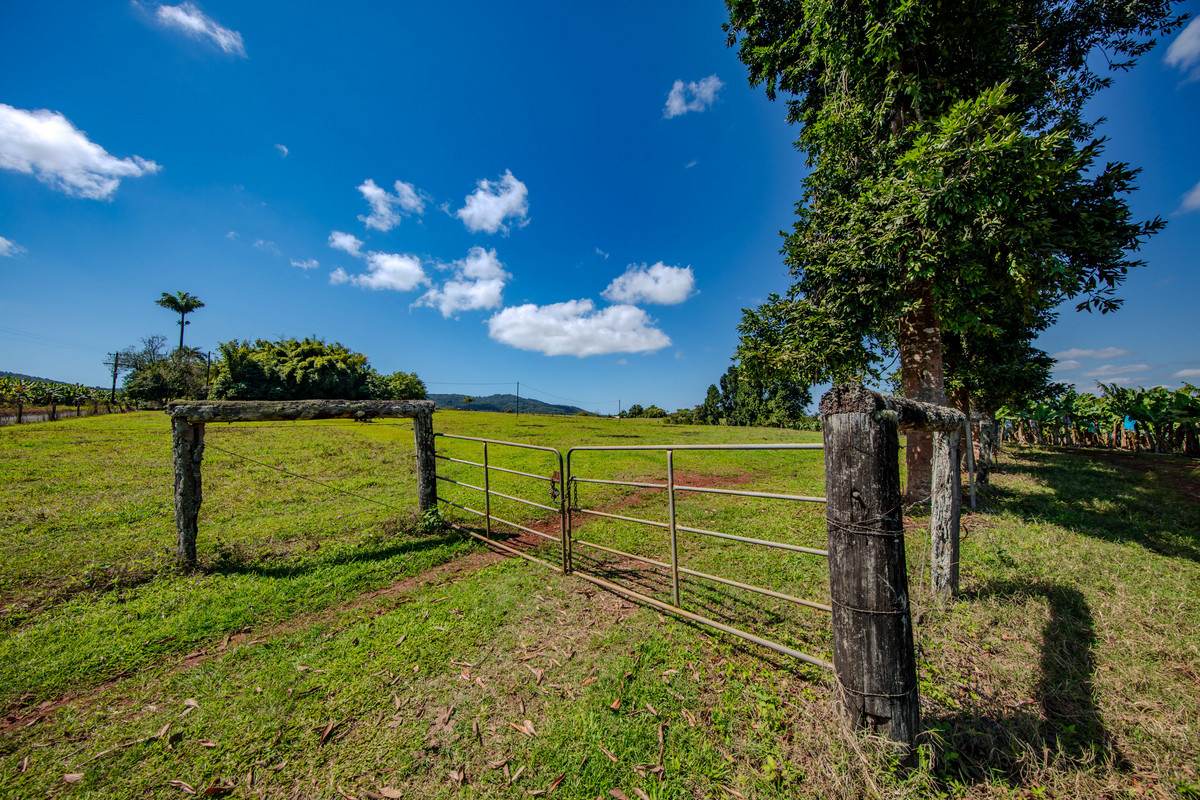 360 Jubilee Road, Jubilee Heights For Sale by Farmbuy.com - image 20