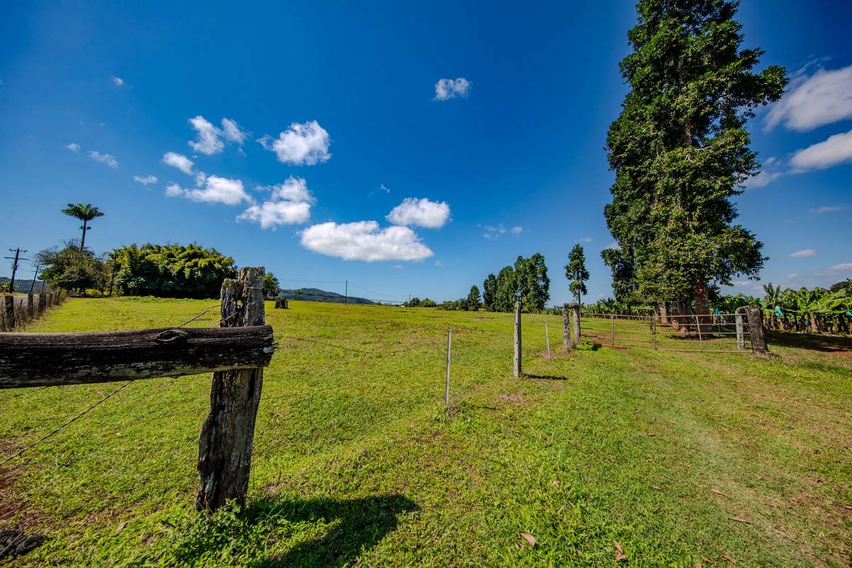 360 Jubilee Road, Jubilee Heights For Sale by Farmbuy.com - image 19
