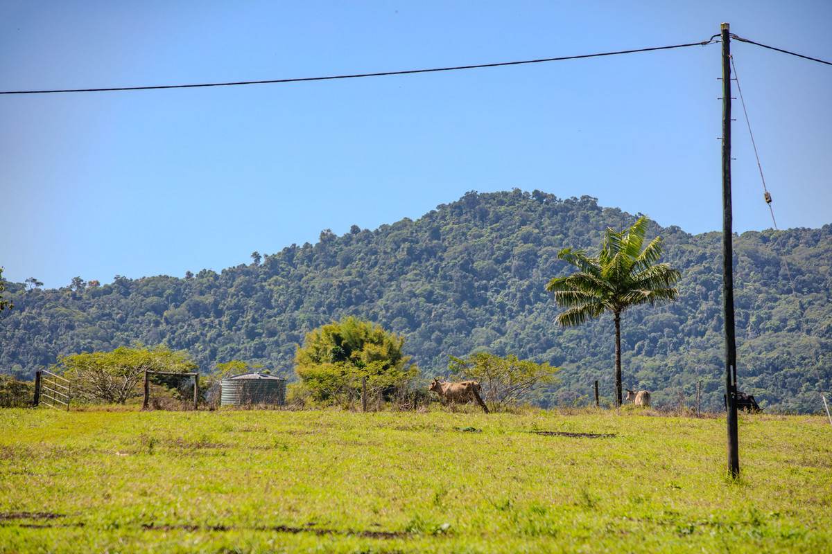 360 Jubilee Road, Jubilee Heights For Sale by Farmbuy.com - image 25