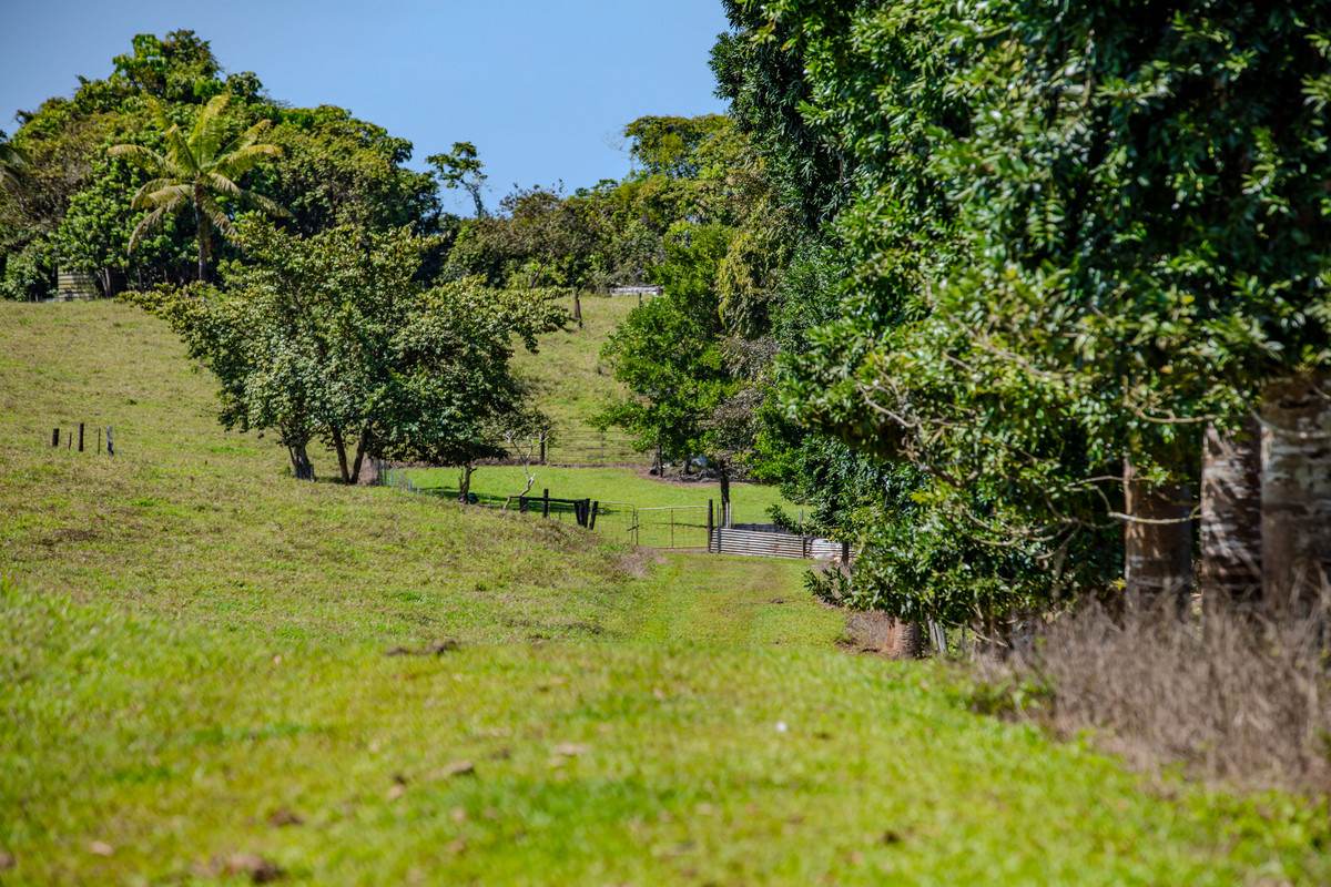 360 Jubilee Road, Jubilee Heights For Sale by Farmbuy.com - image 24