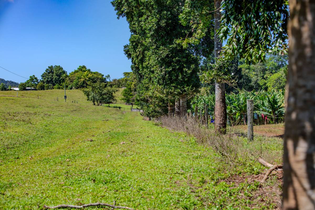 360 Jubilee Road, Jubilee Heights For Sale by Farmbuy.com - image 23