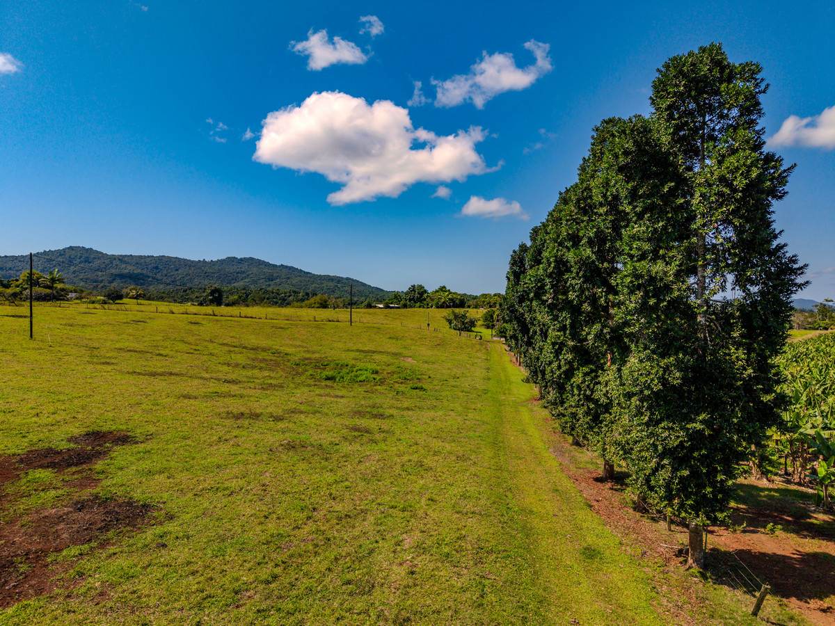 360 Jubilee Road, Jubilee Heights For Sale by Farmbuy.com - image 11