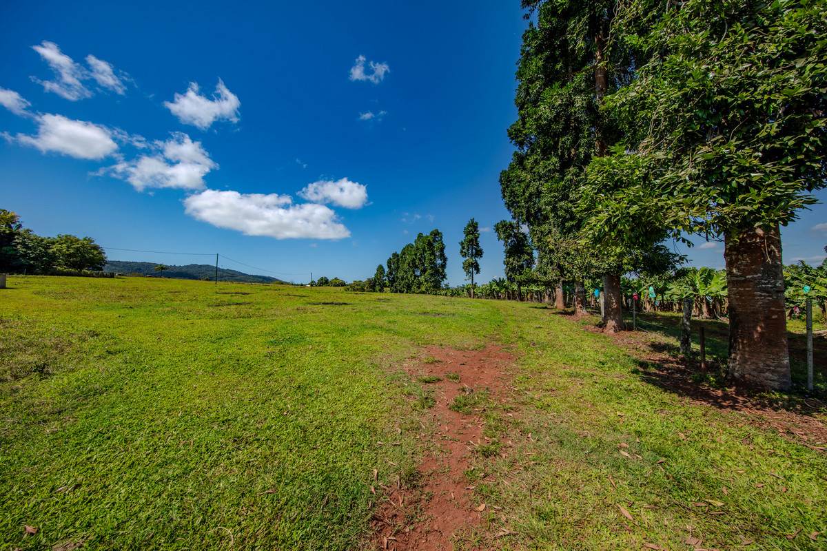 360 Jubilee Road, Jubilee Heights For Sale by Farmbuy.com - image 21