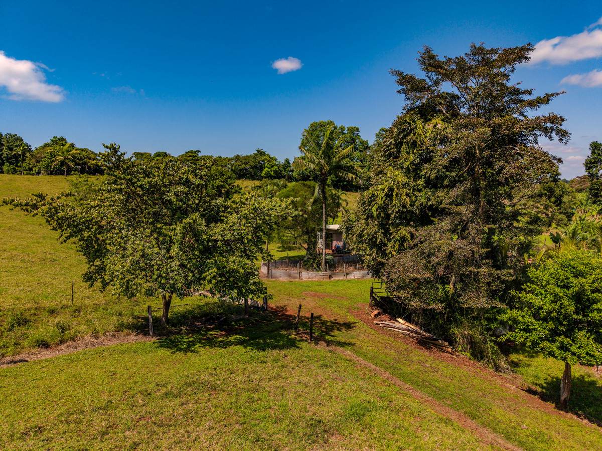 360 Jubilee Road, Jubilee Heights For Sale by Farmbuy.com - image 12