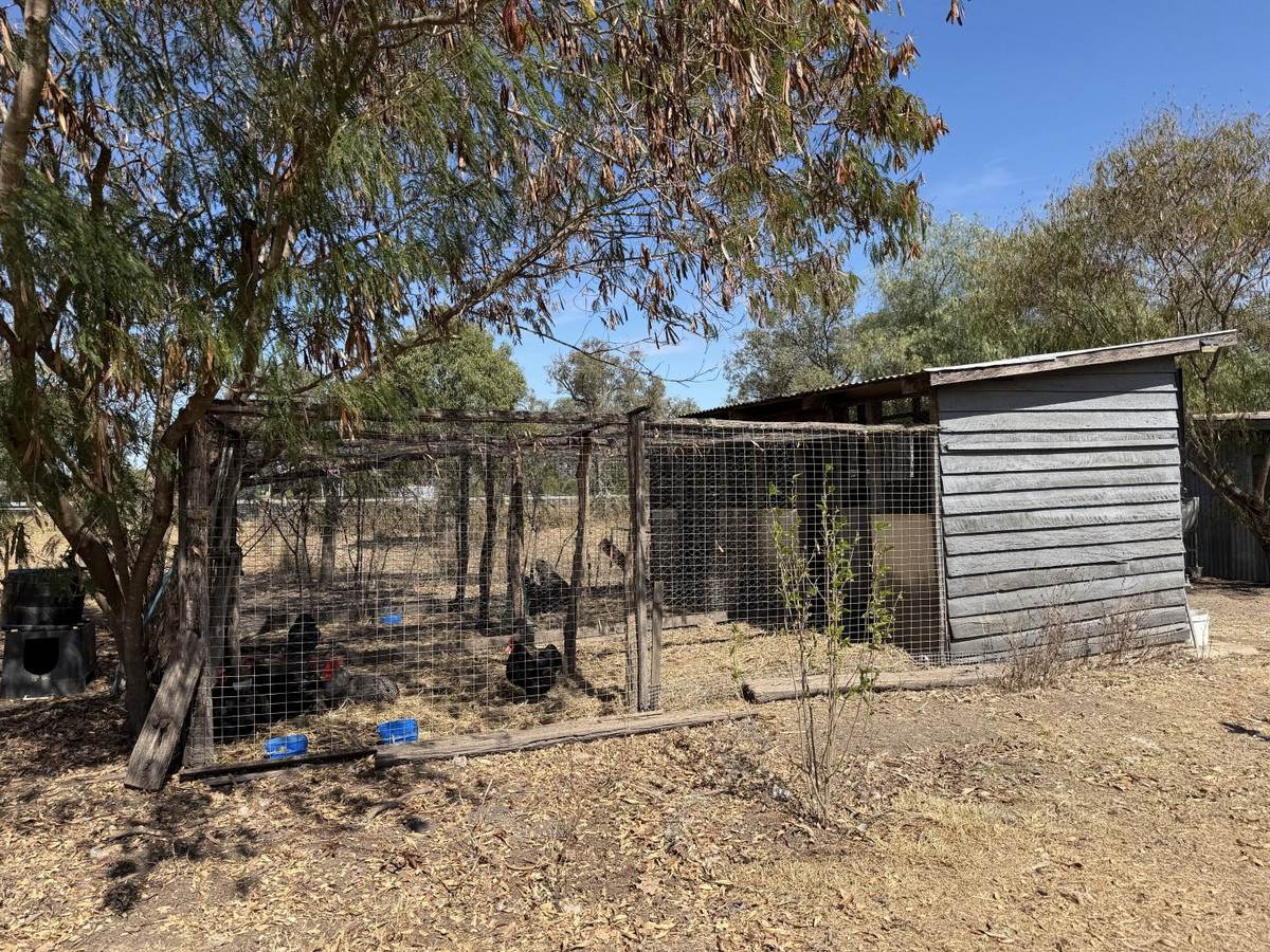 30730 Burnett Highway, Monto For Sale by Farmbuy.com - image 24