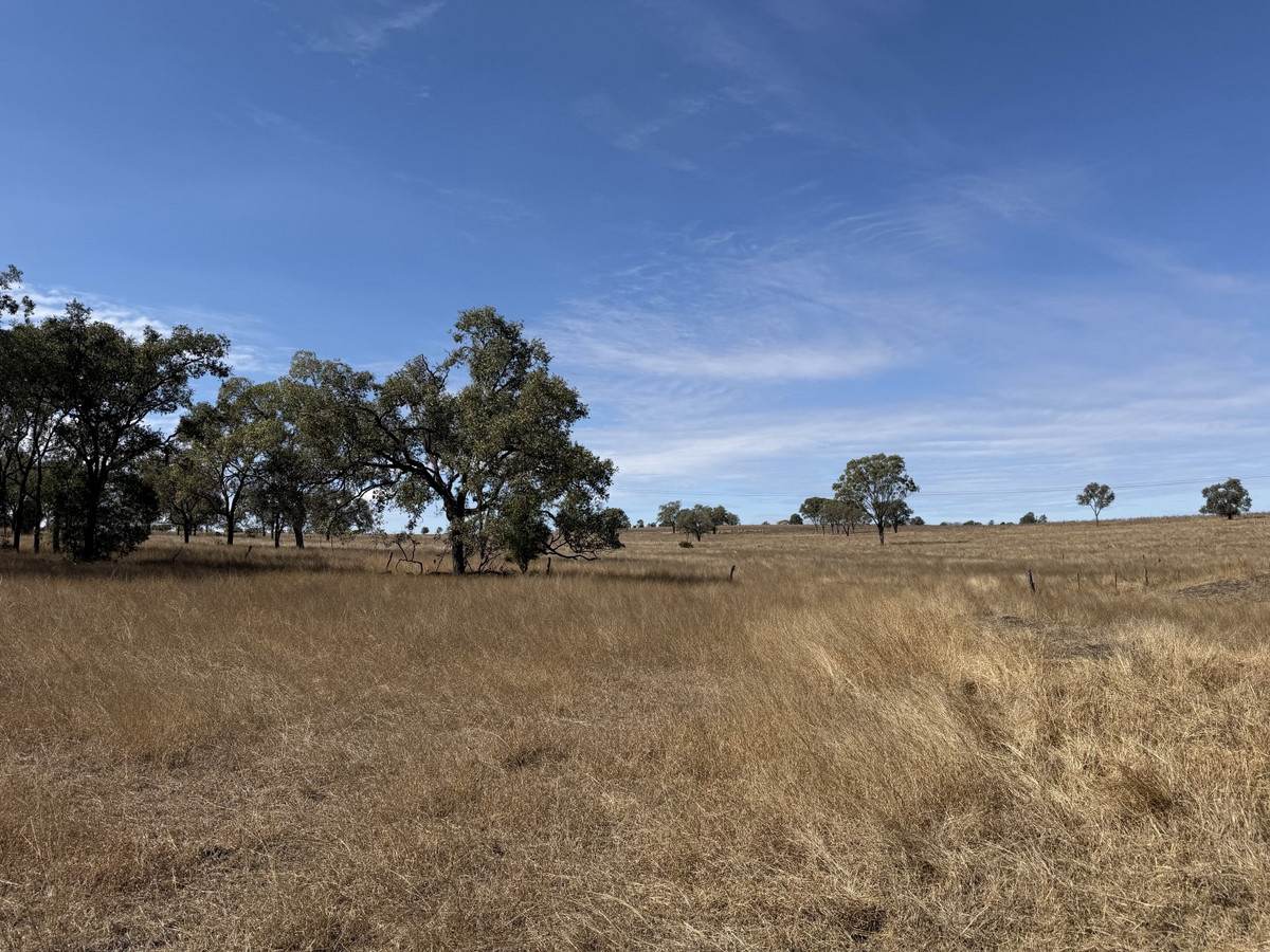 30730 Burnett Highway, Monto For Sale by Farmbuy.com - image 22
