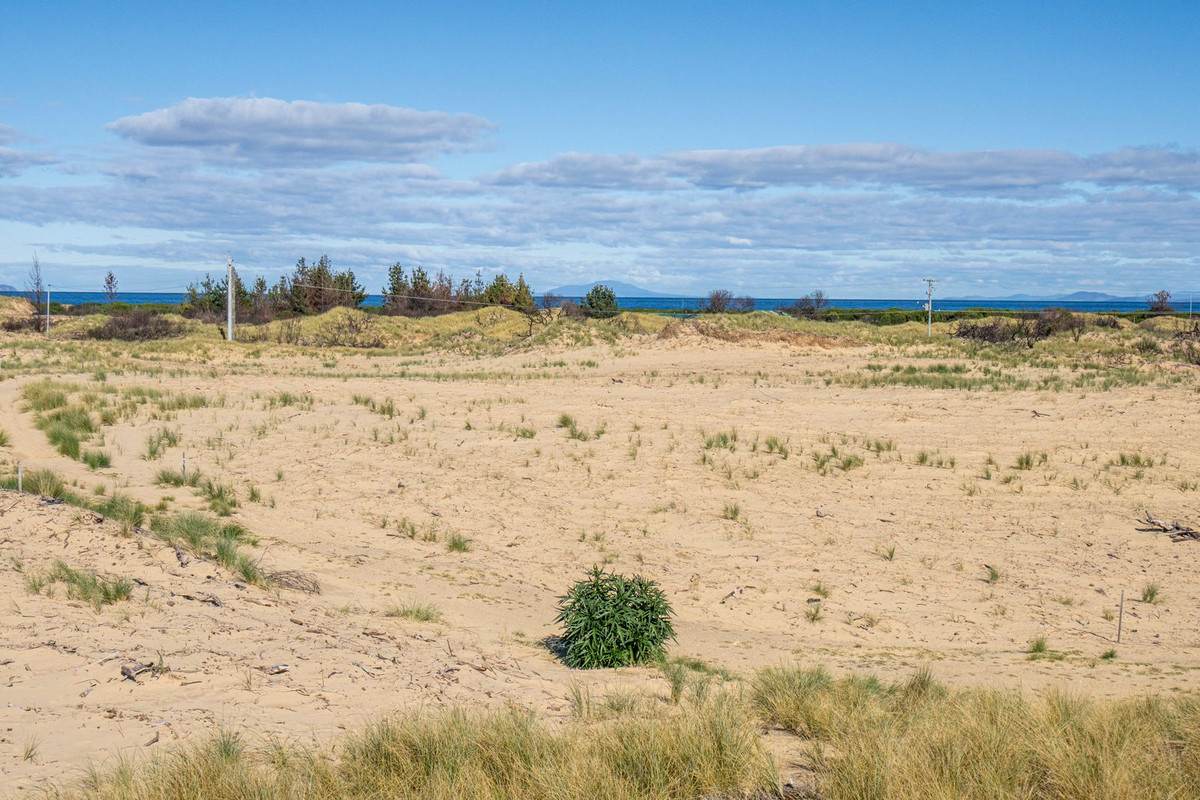 711 Dolphin Sands Road, Dolphin Sands For Sale by Farmbuy.com - image 12