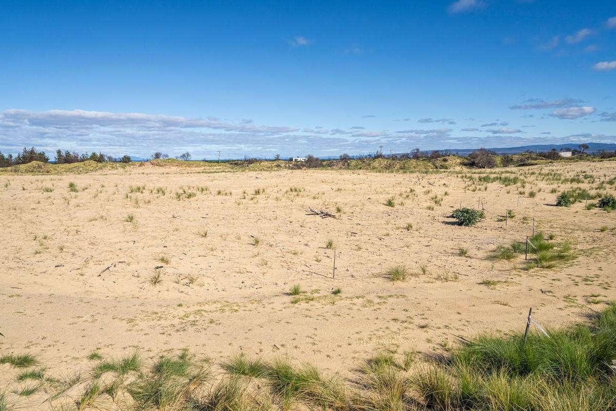 711 Dolphin Sands Road, Dolphin Sands For Sale by Farmbuy.com - image 14