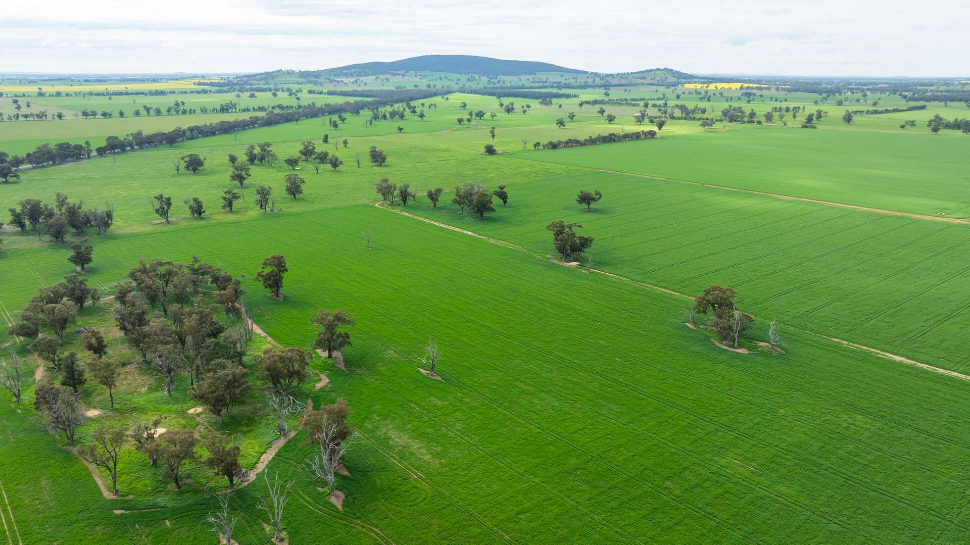 204 Flaxvale Road, Goombargana For Sale by Farmbuy.com - image 15