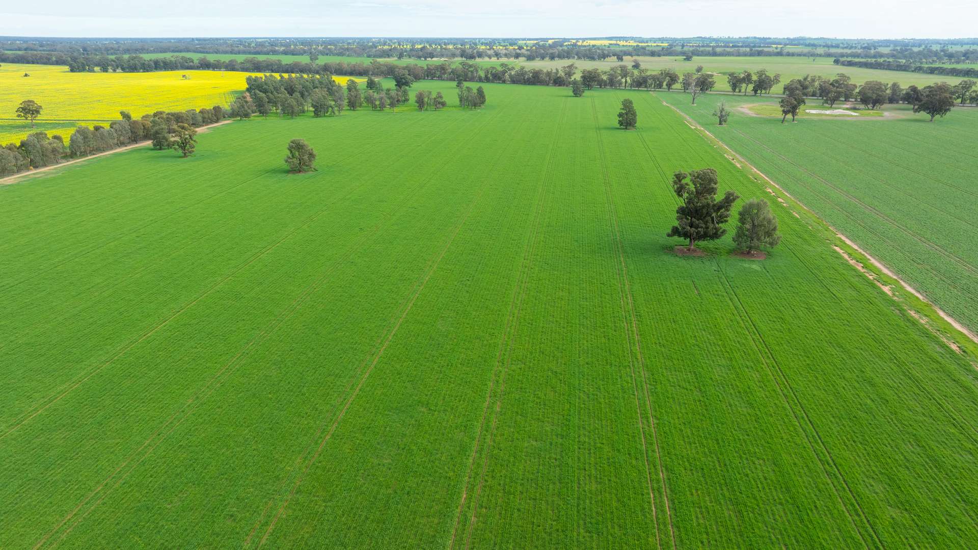 204 Flaxvale Road, Goombargana For Sale by Farmbuy.com - image 14