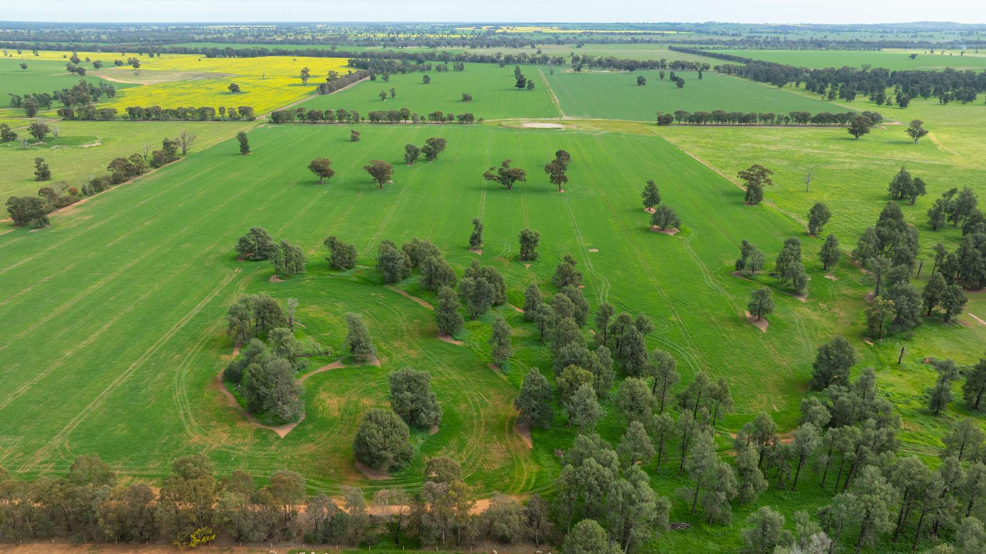 204 Flaxvale Road, Goombargana For Sale by Farmbuy.com - image 11