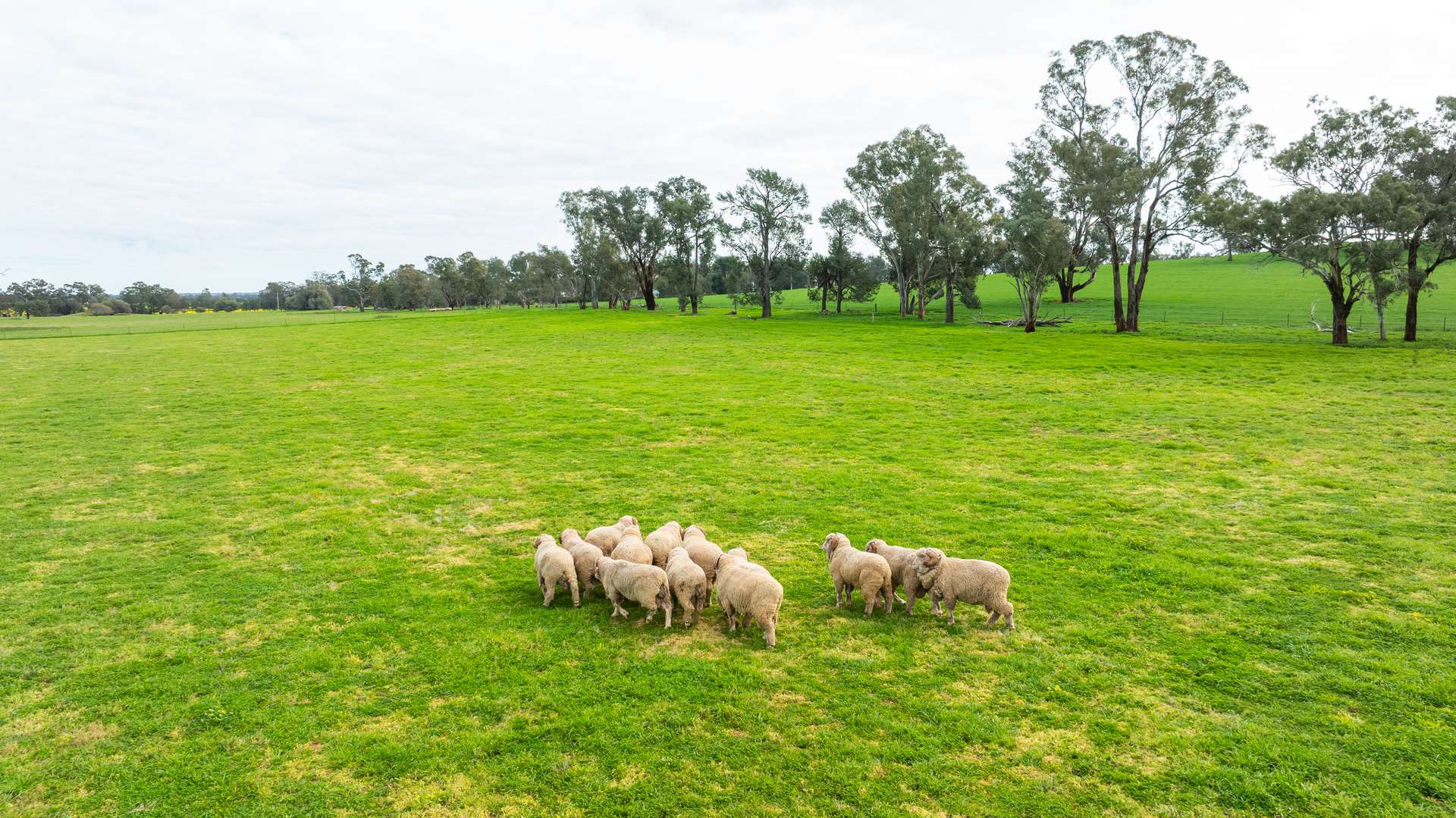 204 Flaxvale Road, Goombargana For Sale by Farmbuy.com - image 12