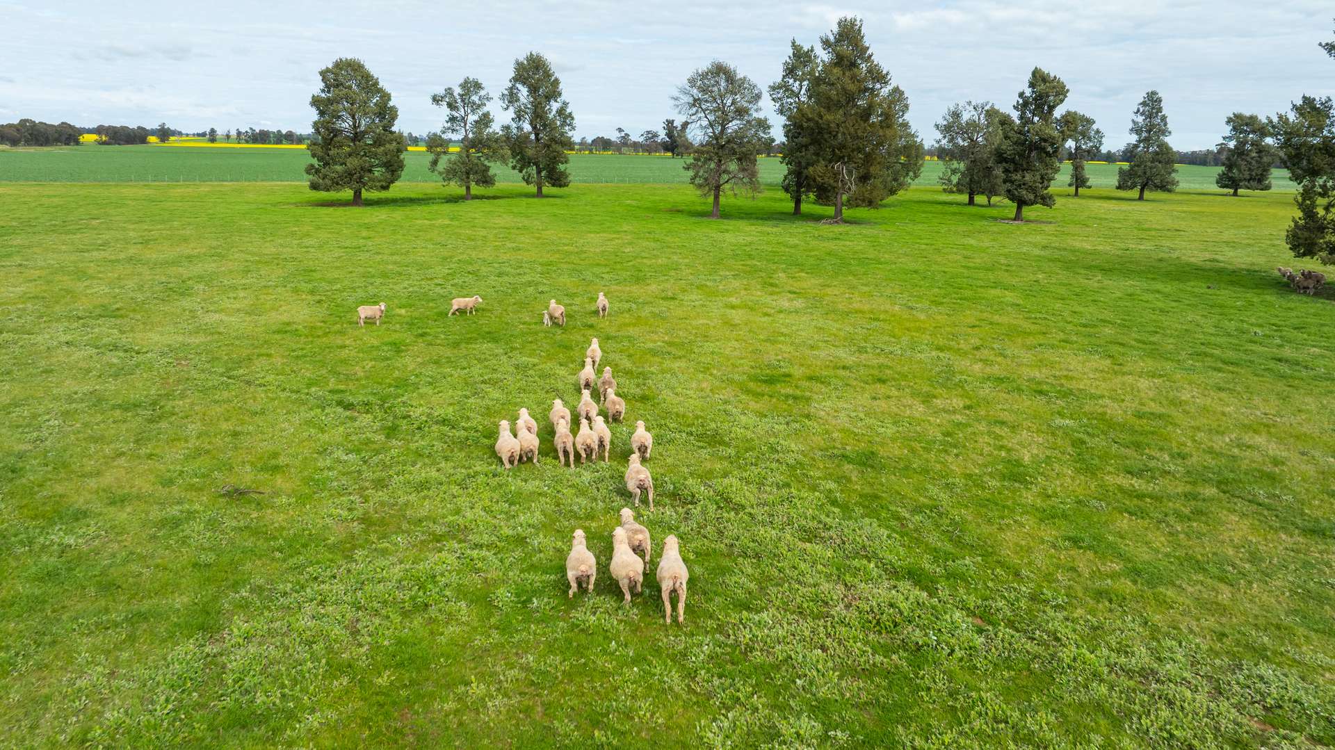204 Flaxvale Road, Goombargana For Sale by Farmbuy.com - image 19