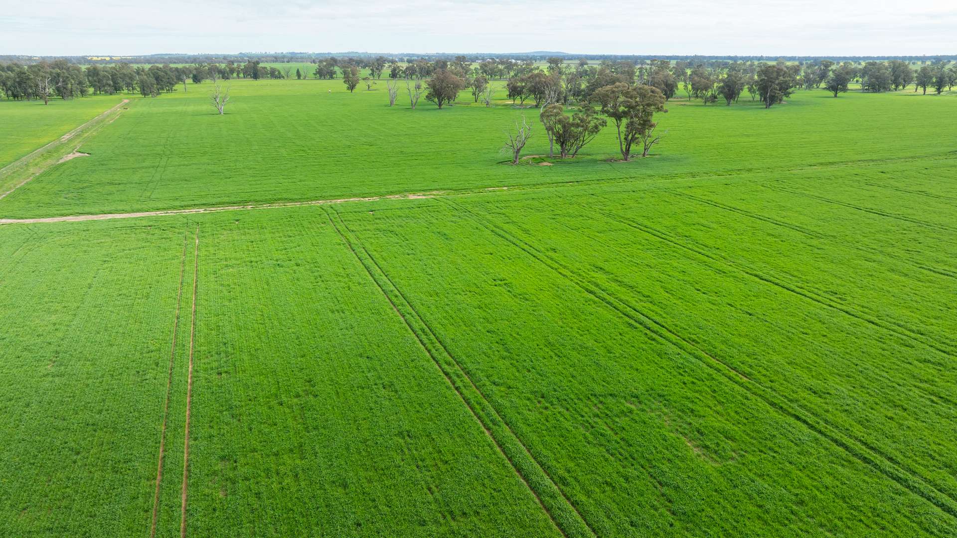 204 Flaxvale Road, Goombargana For Sale by Farmbuy.com - image 18