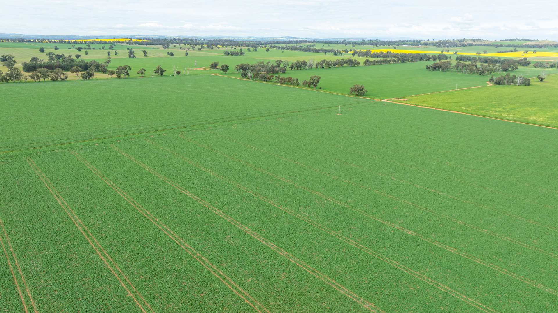 204 Flaxvale Road, Goombargana For Sale by Farmbuy.com - image 9