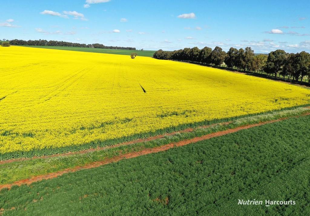 223 Mungedar Road, Badgingarra WA 6521