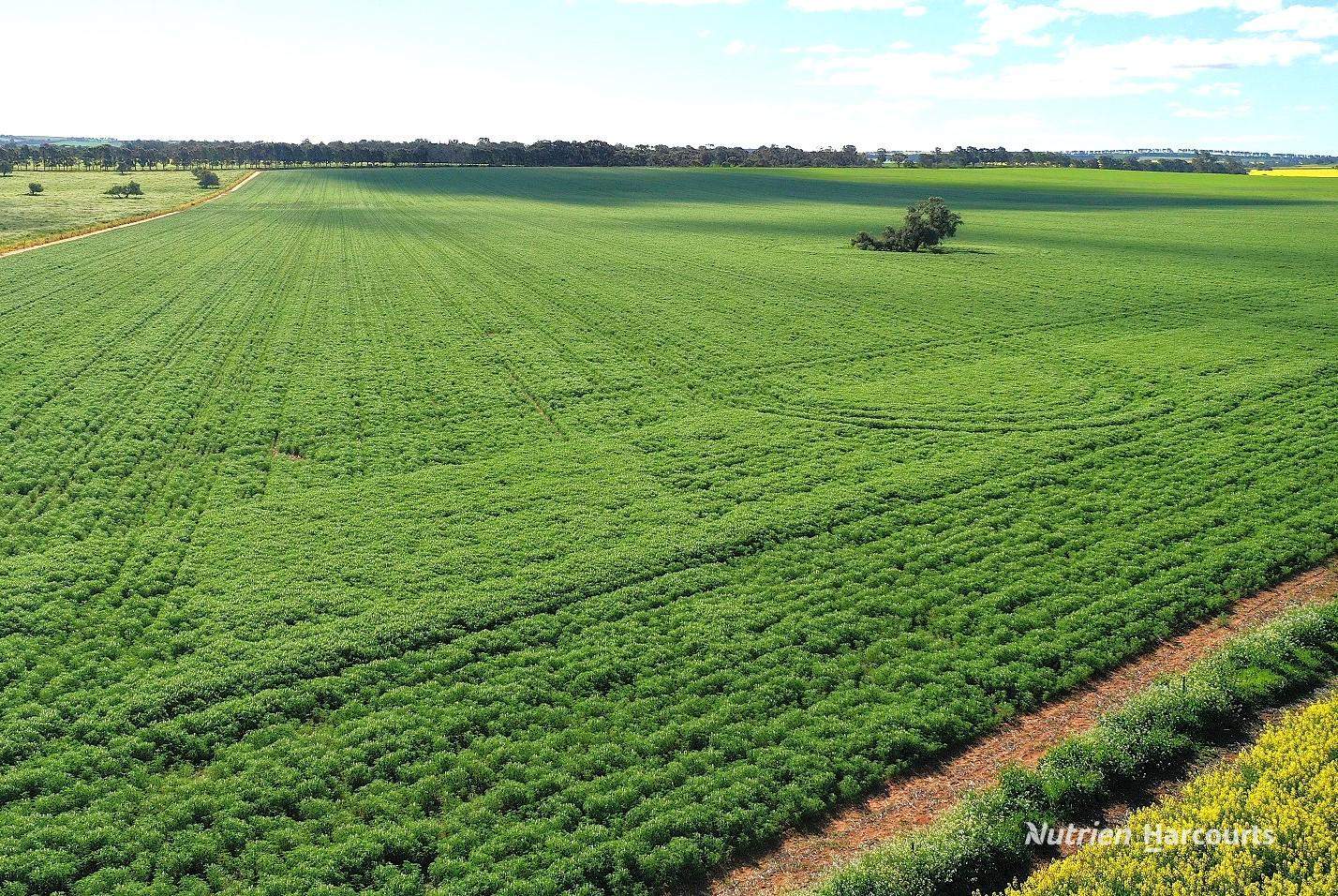 233 Mungedar Road, Badgingarra For Sale by Farmbuy.com - image 3