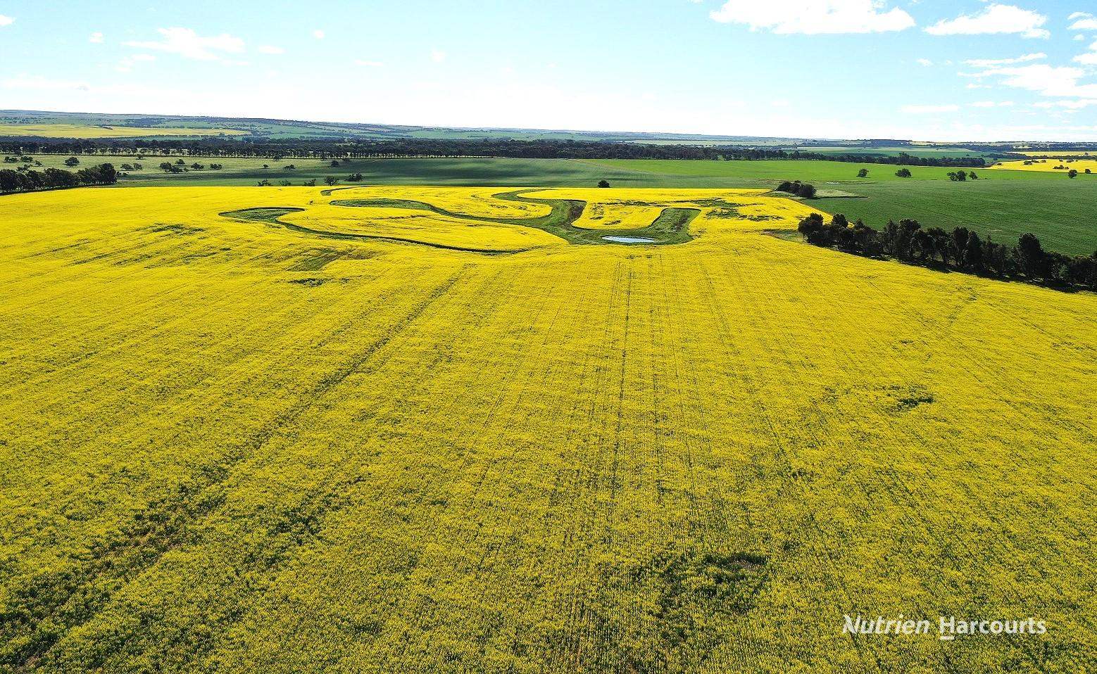 233 Mungedar Road, Badgingarra For Sale by Farmbuy.com - image 2