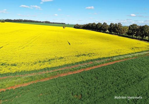 233 Mungedar Road, Badgingarra WA 6521
