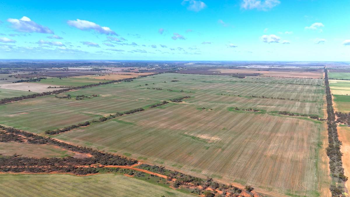 'Kentish' Piangil / Coonimur Road, Piangil For Sale by Farmbuy.com - image 6