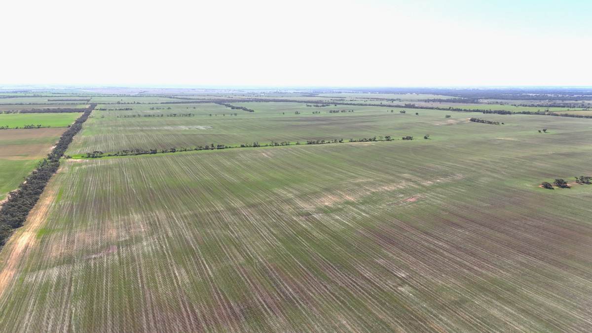 'Kentish' Piangil / Coonimur Road, Piangil For Sale by Farmbuy.com - image 1