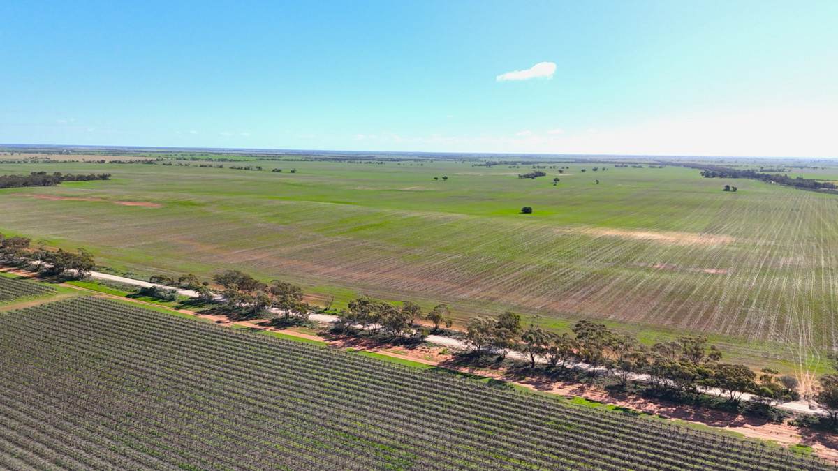 'Kentish' Piangil / Coonimur Road, Piangil For Sale by Farmbuy.com - image 9