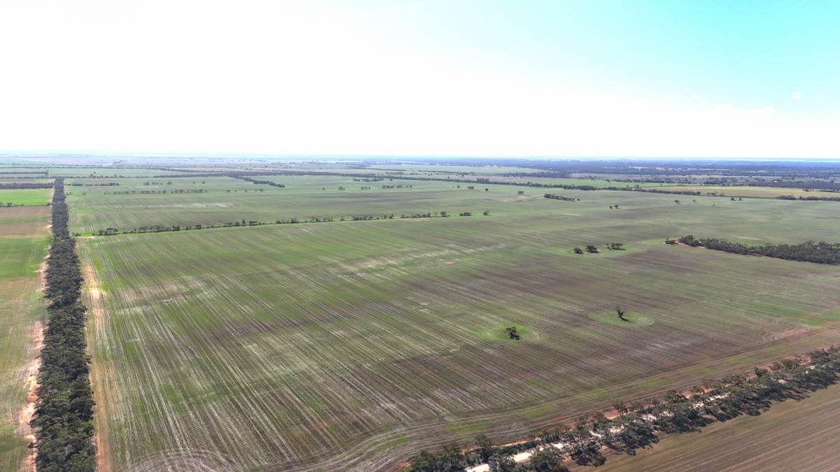 'Kentish' Piangil / Coonimur Road, Piangil For Sale by Farmbuy.com - image 8