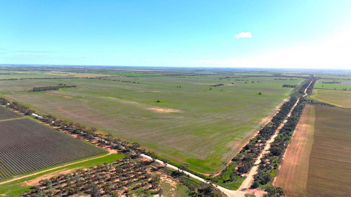'Kentish' Piangil / Coonimur Road, Piangil For Sale by Farmbuy.com - image 3