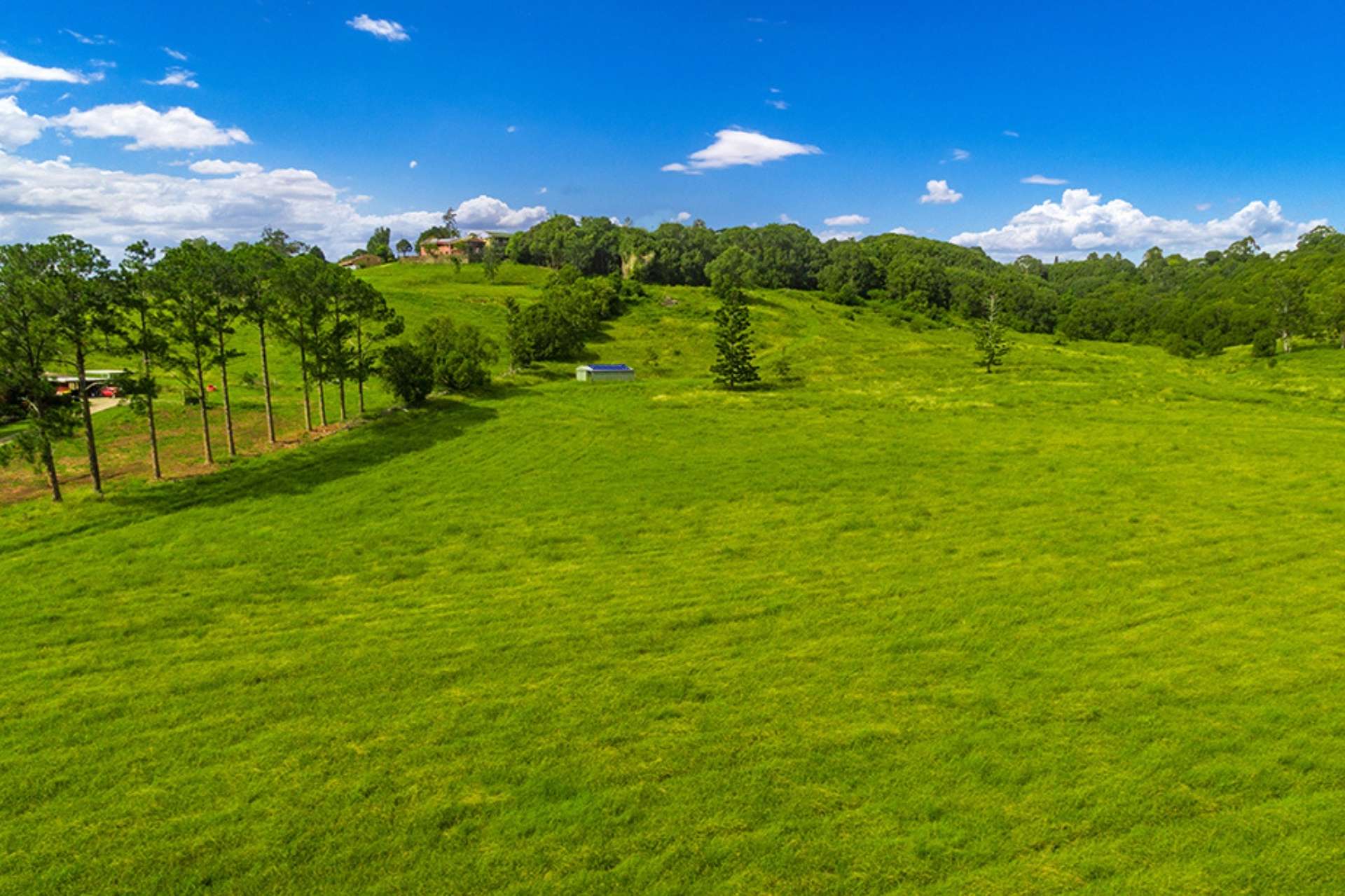 207 Bangalow Road, Howards Grass For Sale by Farmbuy.com - image 5