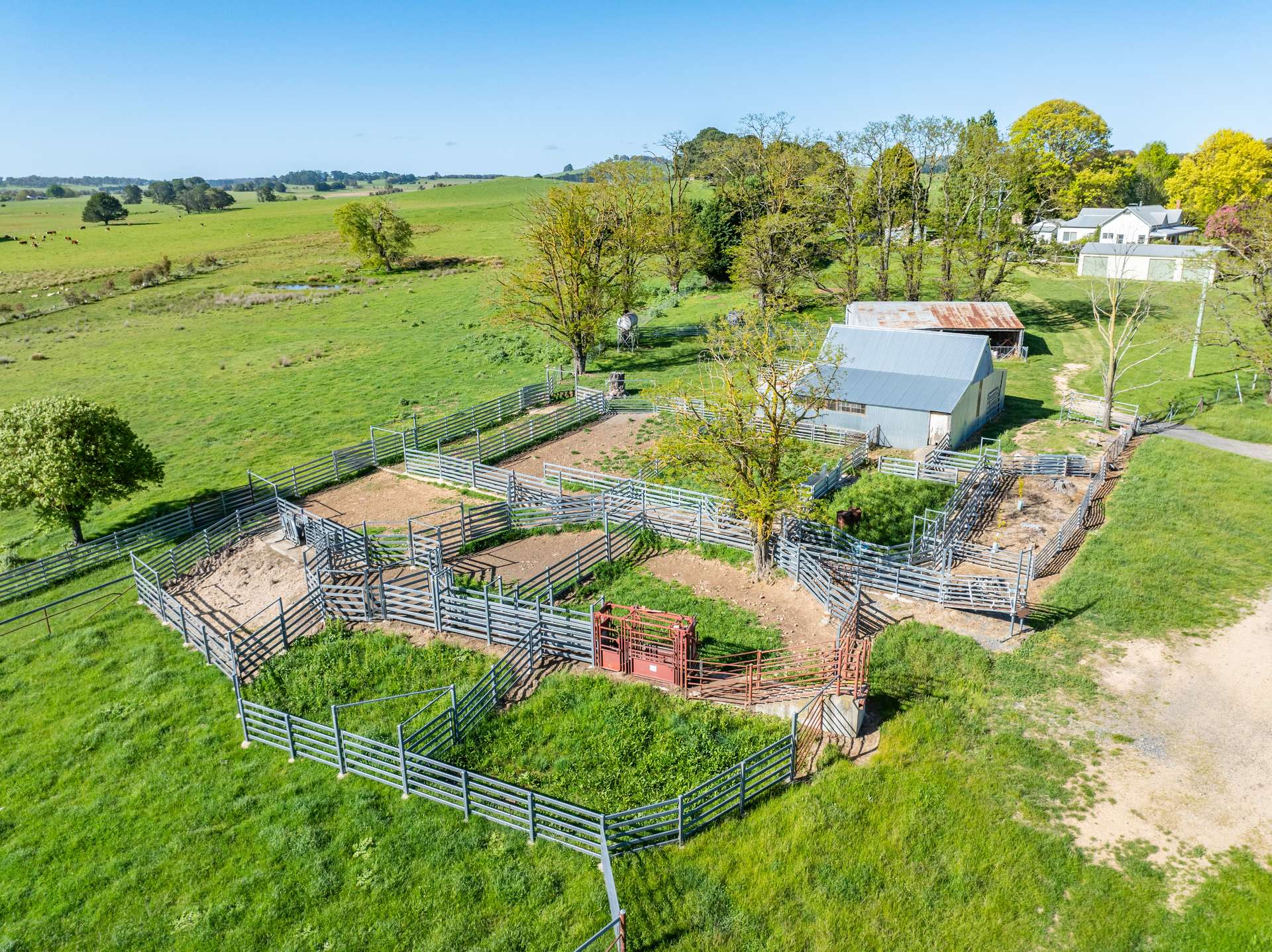 'Pomona' 72 Pomona Lane, Neville Auction by Farmbuy.com - image 29