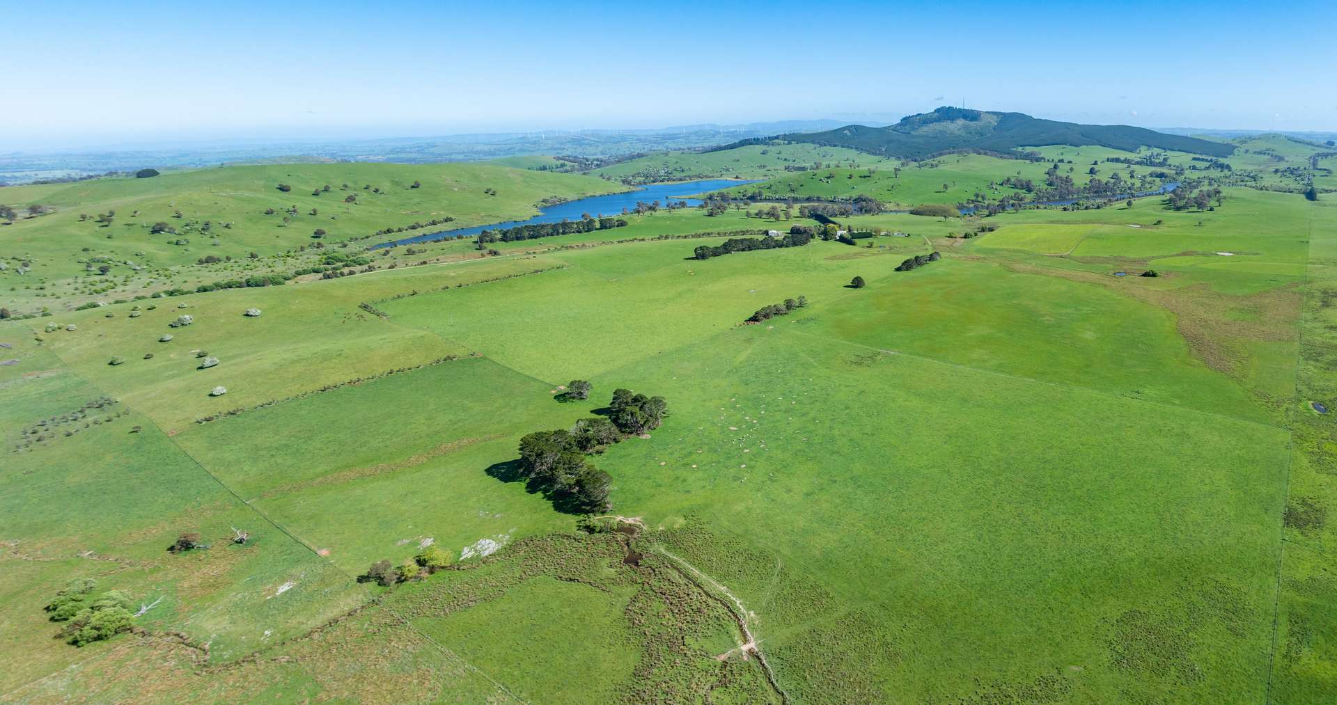 'Pomona' 72 Pomona Lane, Neville Auction by Farmbuy.com - image 8
