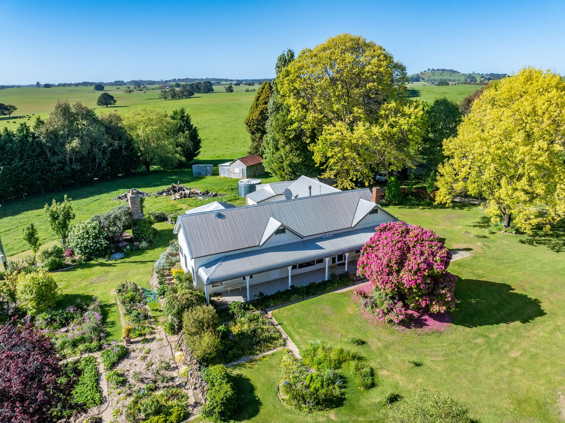 'Pomona' 72 Pomona Lane, Neville Auction by Farmbuy.com - image 9