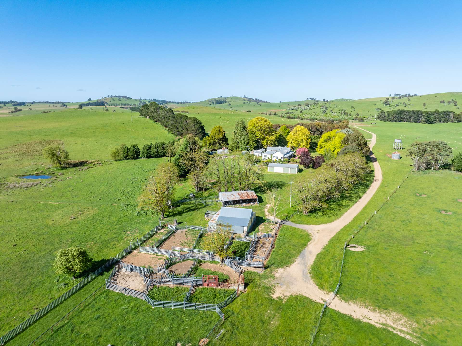 'Pomona' 72 Pomona Lane, Neville Auction by Farmbuy.com - image 3